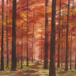 「水元 メタセコイアの森」椎名 保