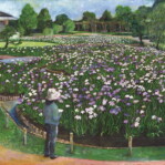 「堀切菖蒲園まつり」青木 勉武