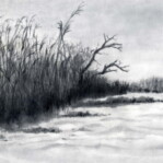 「中川 奥戸園東葦群」神取 承子